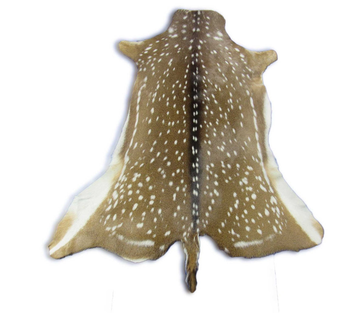 Top Quality Axis Deer Skin (no holes) Size: 49x41" Axis-717