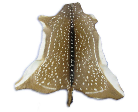 Top Quality Axis Deer Skin (2 holes in shoulder area) Size: 47x40" Axis-718