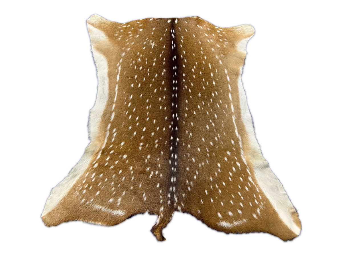 Top Grade Axis Deer Skin (no holes/ 1 small imperfection) Size: 41x38" Axis-724