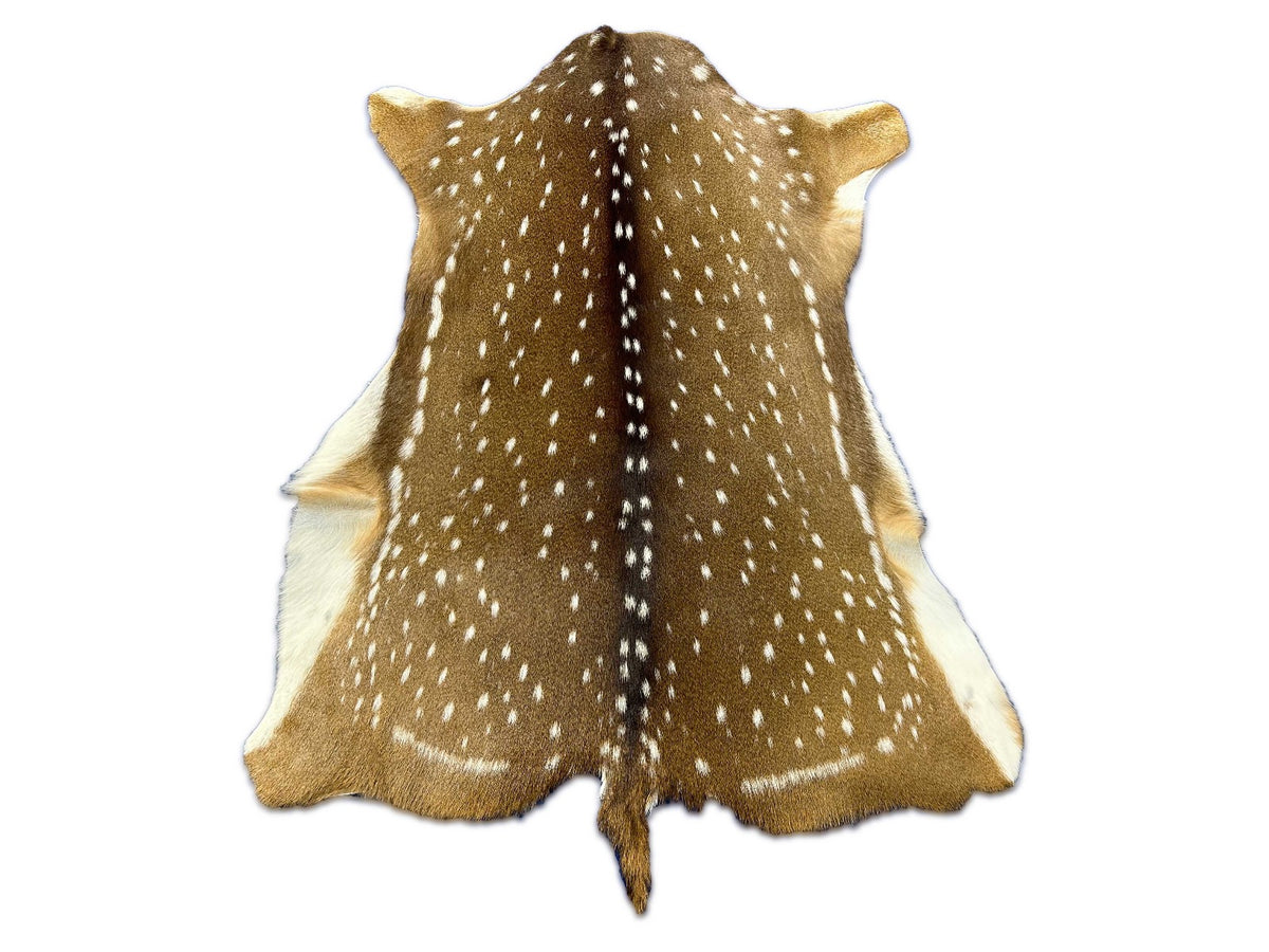 Top Grade Axis Deer Skin (no holes) Size: 44x35" Axis-725