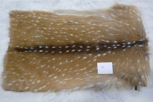 New Axis Deer Pillow Case Size: 11" X 19'" Chital Axis Deer Cushion Case 86