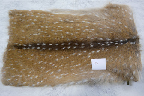 New Axis Deer Pillow Case Size: 11" X 19'" Chital Axis Deer Cushion Case 86
