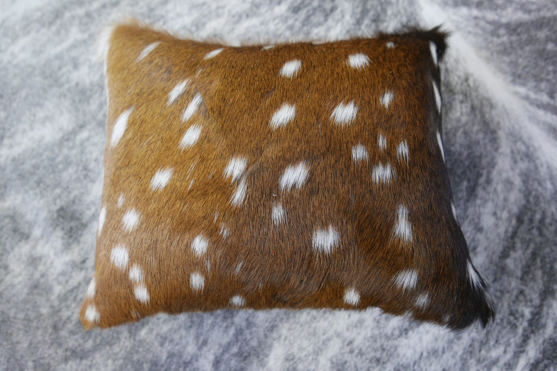 Axis Deer Pillow - Size: 12" X 9" - Axis Pillow C3