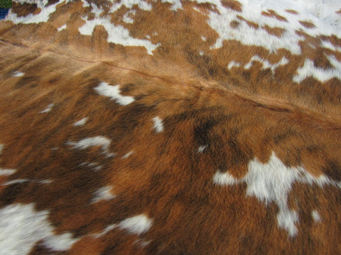 Speckled Tricolor Cowhide Rug Size: 7 1/4' X 6 1/2' Speckled Brown and White Cowhide Rug B-001
