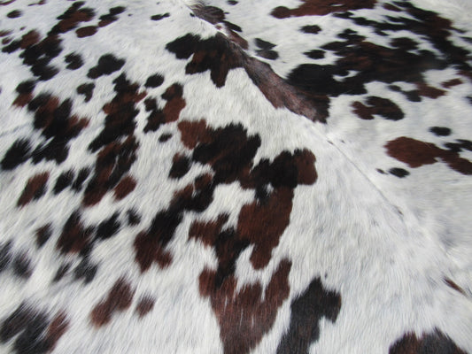 Speckled Cowhide Rug Size: 7' X 6 3/4' Brown/White Cowhide Rug B-002