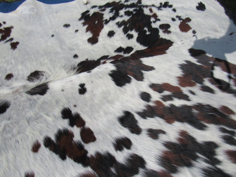 Speckled Cowhide Rug Size: 7' X 6 3/4' Brown/White Cowhide Rug B-002