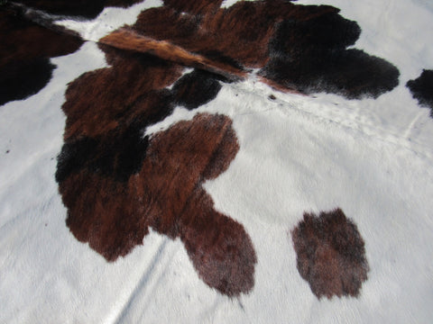 Brown & White Cowhide Rug Size: 7 1/4' X 7 1/4' Spotted Brown and White Cowhide Rug B-005