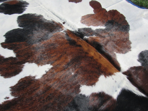 Brown & White Cowhide Rug Size: 7 1/4' X 7 1/4' Spotted Brown and White Cowhide Rug B-005