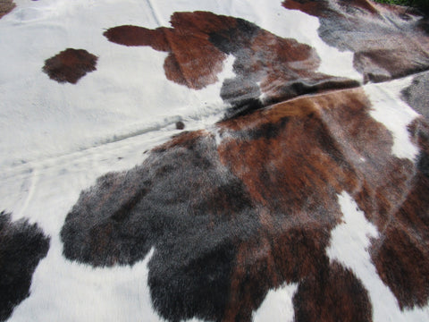 Brown & White Cowhide Rug Size: 7 1/4' X 7 1/4' Spotted Brown and White Cowhide Rug B-005