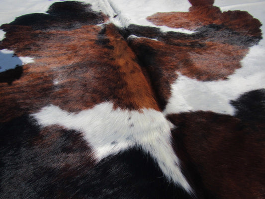 Brown & White Cowhide Rug Size: 7 1/4' X 7 1/4' Spotted Brown and White Cowhide Rug B-005