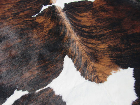 Tricolor Cowhide Rug Size: 8' X 7' Spotted Brown and White Cowhide Rug B-006