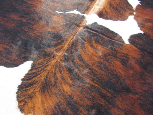 Tricolor Cowhide Rug Size: 8' X 7' Spotted Brown and White Cowhide Rug B-006