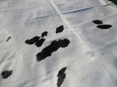 Spotted Cowhide Rug Size: 9' X 8' Black/White Cowhide Rug B-008