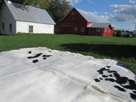 Spotted Cowhide Rug Size: 9' X 8' Black/White Cowhide Rug B-008
