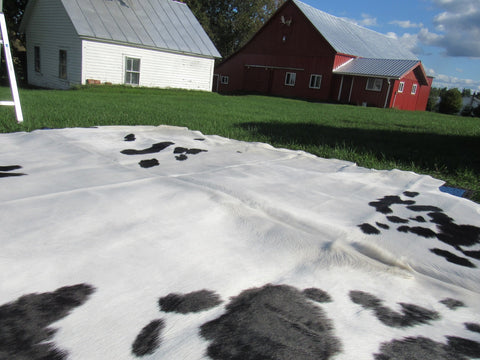 Spotted Cowhide Rug Size: 9' X 8' Black/White Cowhide Rug B-008