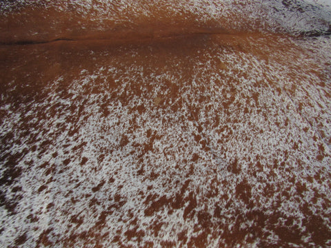 Speckled Longhorn Cowhide Rug Size: 7 1/2' X 6 3/4' Brown/White Cowhide Rug B-009
