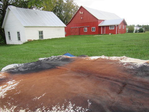 Speckled Longhorn Cowhide Rug Size: 8' X 7' Brown/White Cowhide Rug B-011