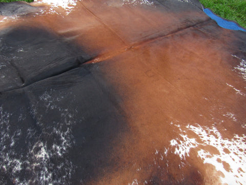 Speckled Longhorn Cowhide Rug Size: 8' X 7' Brown/White Cowhide Rug B-011