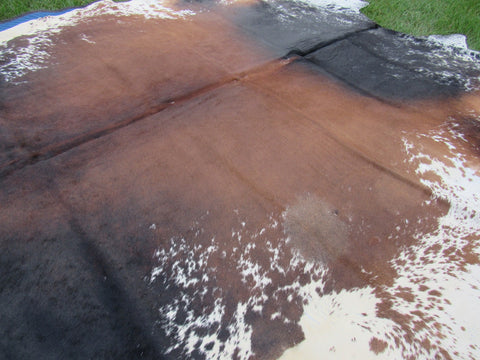 Speckled Longhorn Cowhide Rug Size: 8' X 7' Brown/White Cowhide Rug B-011