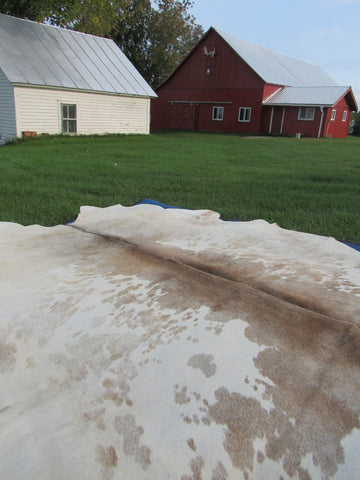 Speckled Cowhide Rug Size: 7 1/2' X 6 1/2' Beige/White Cowhide Rug B-012