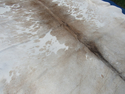 Speckled Cowhide Rug Size: 7 1/2' X 6 1/2' Beige/White Cowhide Rug B-012