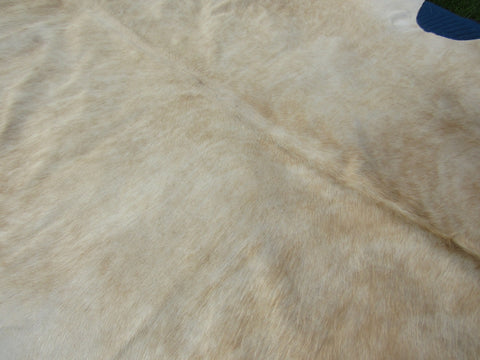 Beige Cowhide Rug Size: 7 1/4' X 7' White/Beige Cowhide Rug B-014