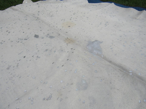 Silver Cowhide Rug Size: 7 1/4' X 6 3/4' White/Silver Acid Washed Cowhide Rug B-015