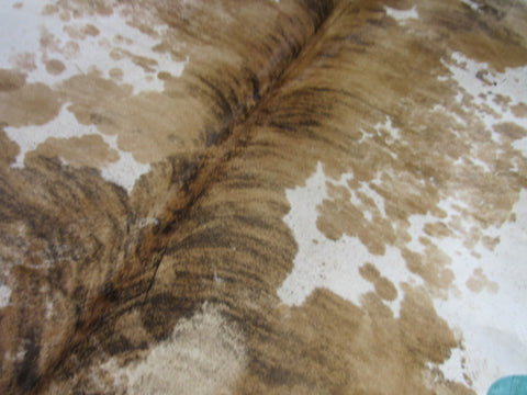 Speckled Longhorn Cowhide Rug Size: 8' X 63/4' Brown/White Cowhide Rug B-060