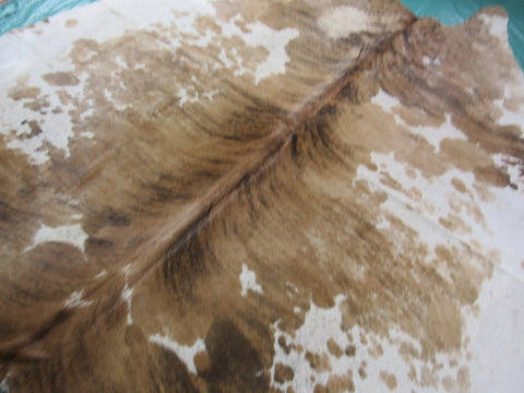 Speckled Longhorn Cowhide Rug Size: 8' X 63/4' Brown/White Cowhide Rug B-060