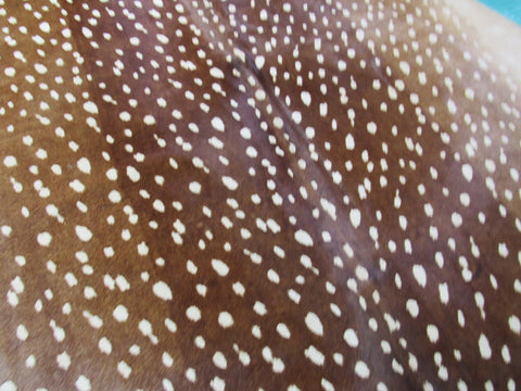 Axis Deer Print Cowhide Rug Size: 7' X 6 1/2' Brown/White Deer Print Cowhide Rug B-073