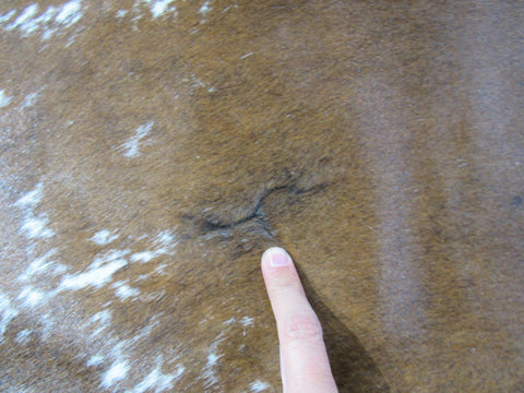 Speckled Longhorn Cowhide Rug Size: 7 1/2' X 6 1/2' Brown/White Cowhide Rug B-089