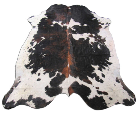 Tricolor Cowhide Rug Size: 6 3/4x6 feet B-198