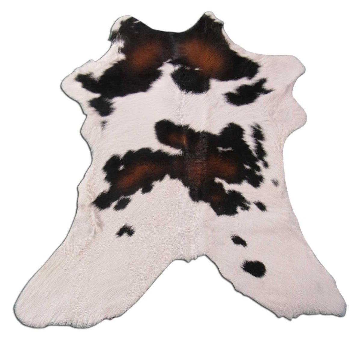 Tricolor Calf Skin Rug Size: 40x34 inches B-204