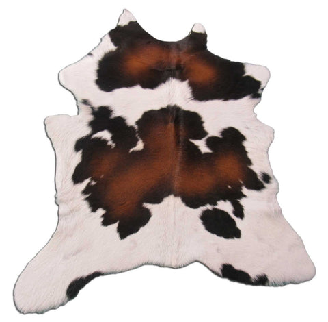 Tricolor Calf Skin Rug Size: 38x36 inches B-205