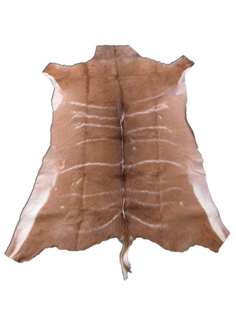 Kudu Skin Rug (Some scars, stiffer than cowhides, Tail is 8") Size: 58x51 inch B-256