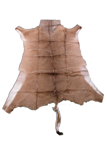 Kudu Skin Rug (Some scars, Tail is 15", hard tanned, stiffer than cowhides) Size: 62x56 inch B-258