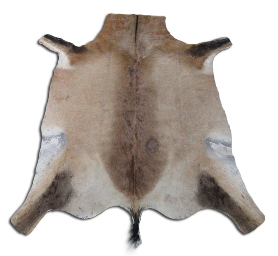 Red Hartebeest Skin Second Grade Size 4X3 feet