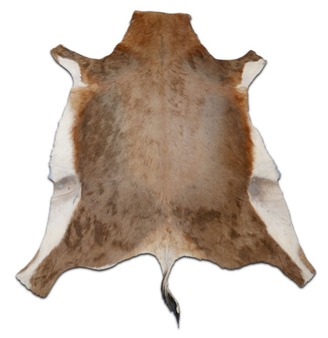 African Blesbok Antelope Skin Deer skin buck skin, African Antelope Buck Skin