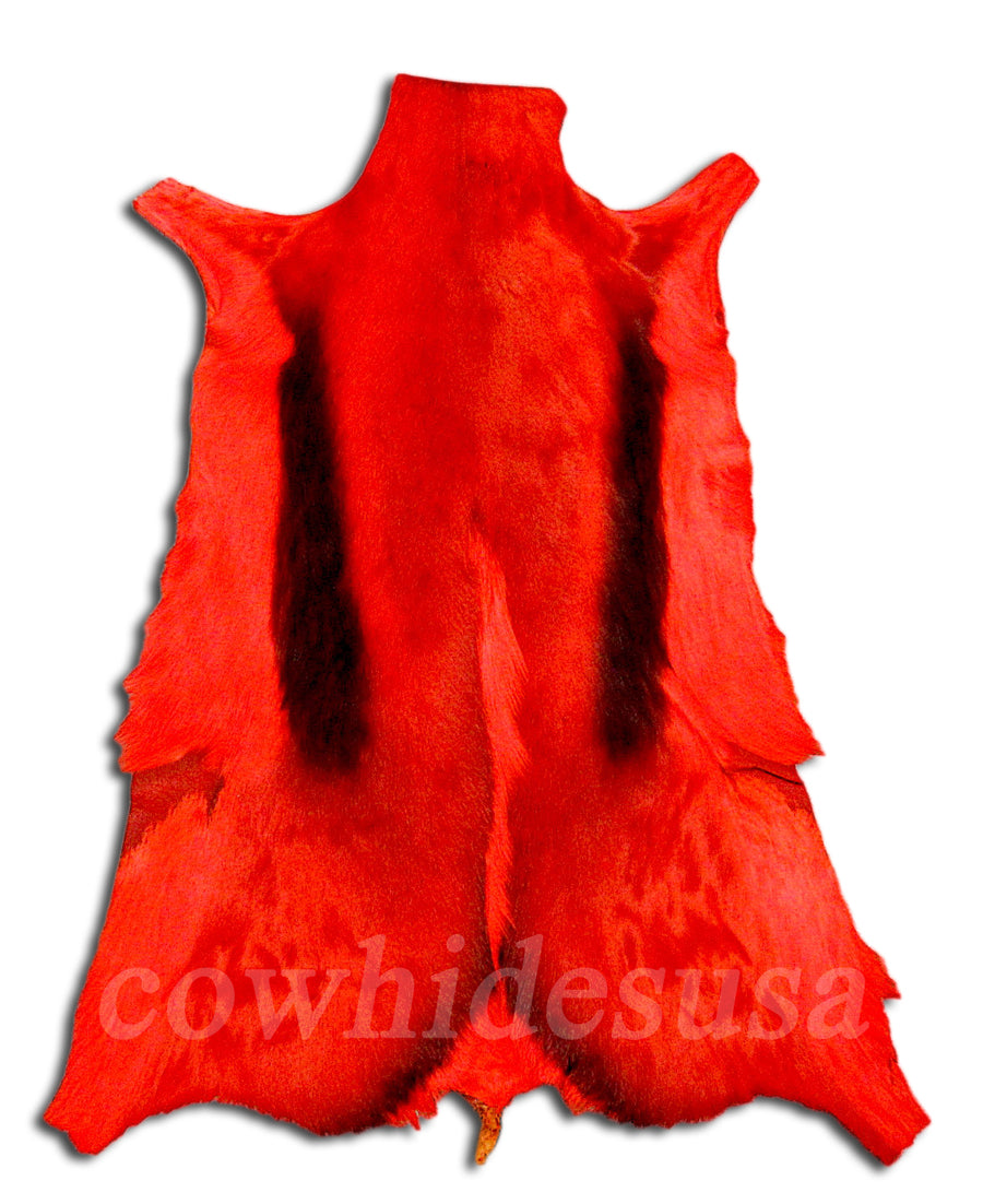 Bright Orange African Springbok Skin African SPRINGBOK Skin African Antelope