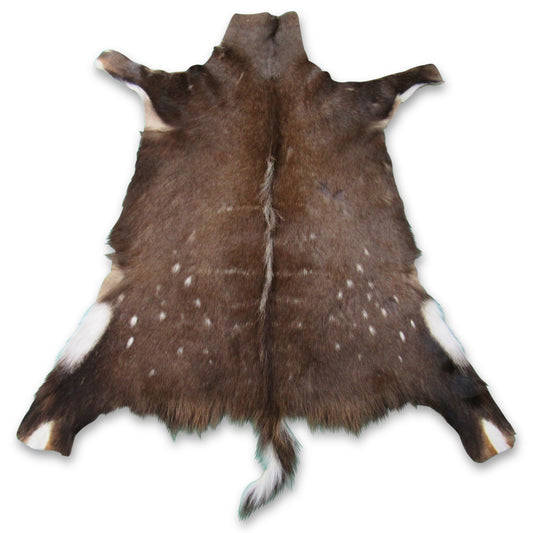 Bushbuck Antelope Skin Size 43" X 40" in Safari Bushbuck Rug