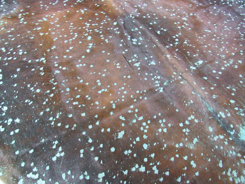 Seafoam Green Cowhide Rug Size: 8' X 6 1/2' Brown/Green Acid Washed Cowhide Rug C-1195