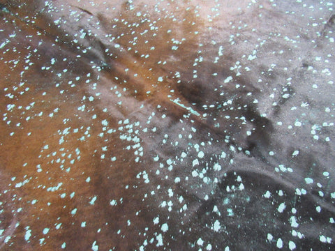 Seafoam Green Cowhide Rug Size: 8' X 6 1/2' Brown/Green Acid Washed Cowhide Rug C-1195