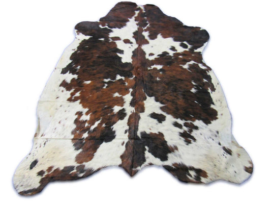 Small Tricolor Cowhide Rug Size: 6x6 feet C-1836