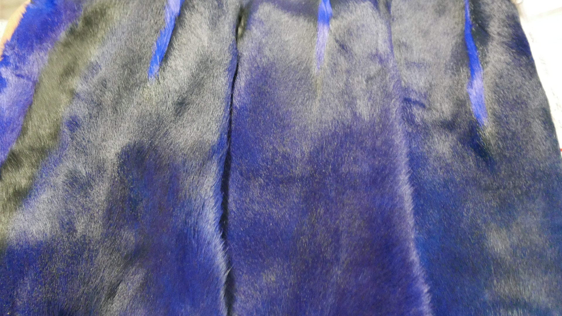 Springbuck Blue Dyed Blue Springbok Skin – Cowhides USA