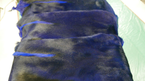 Springbuck Blue Dyed Blue Springbok Skin – Cowhides USA