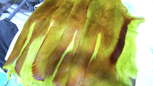 Lime Green Springbok Skin African Antelope Large