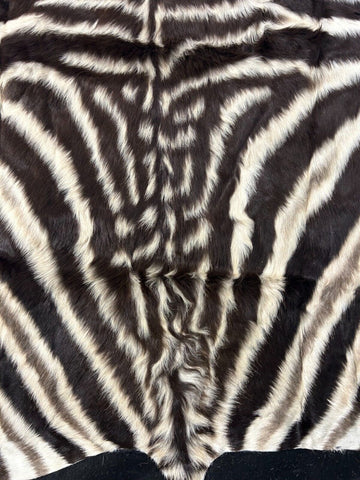 Juvenile Felted Baby Zebra (Tail is 20"/ fuzzy hair) Size: 5 3/4 x 5 1/2' #122