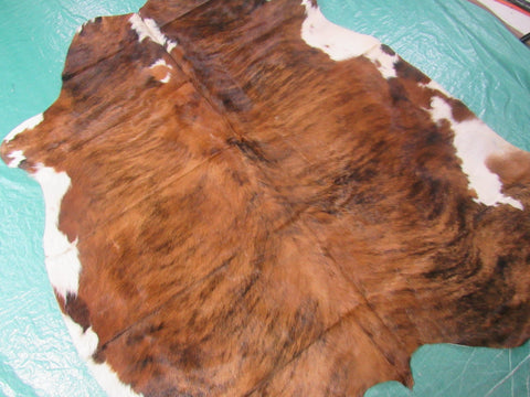 Tricolor Cowhide Rug (mostly brindle with white belly) Size: 5.5x5.5 feet M-1226