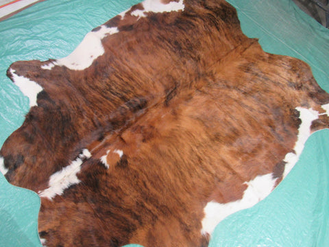 Tricolor Cowhide Rug (mostly brindle with white belly) Size: 5.5x5.5 feet M-1226