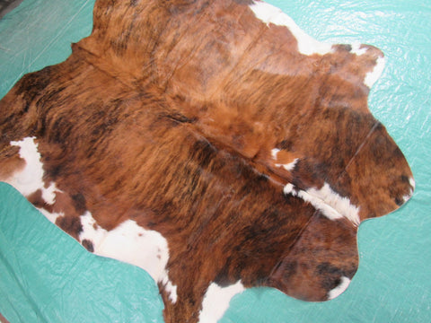 Tricolor Cowhide Rug (mostly brindle with white belly) Size: 5.5x5.5 feet M-1226